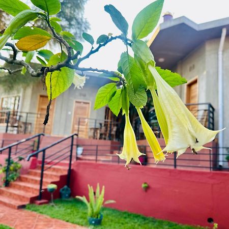 Babylon Lodge Marangu Екстериор снимка