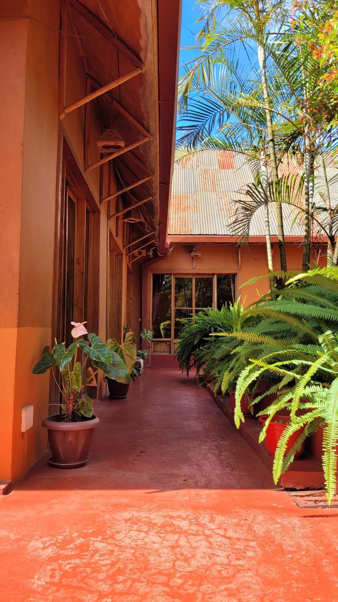 Babylon Lodge Marangu Екстериор снимка