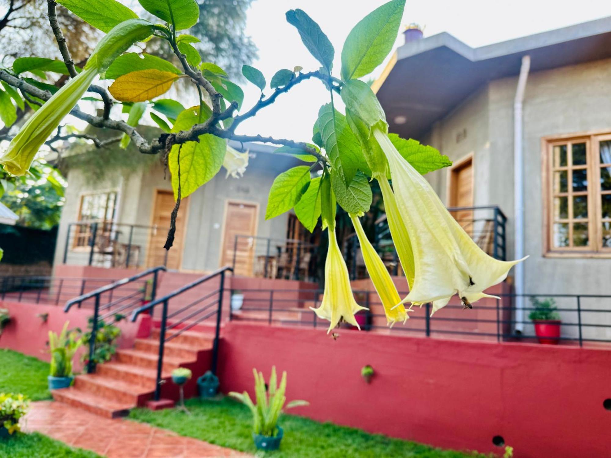 Babylon Lodge Marangu Екстериор снимка